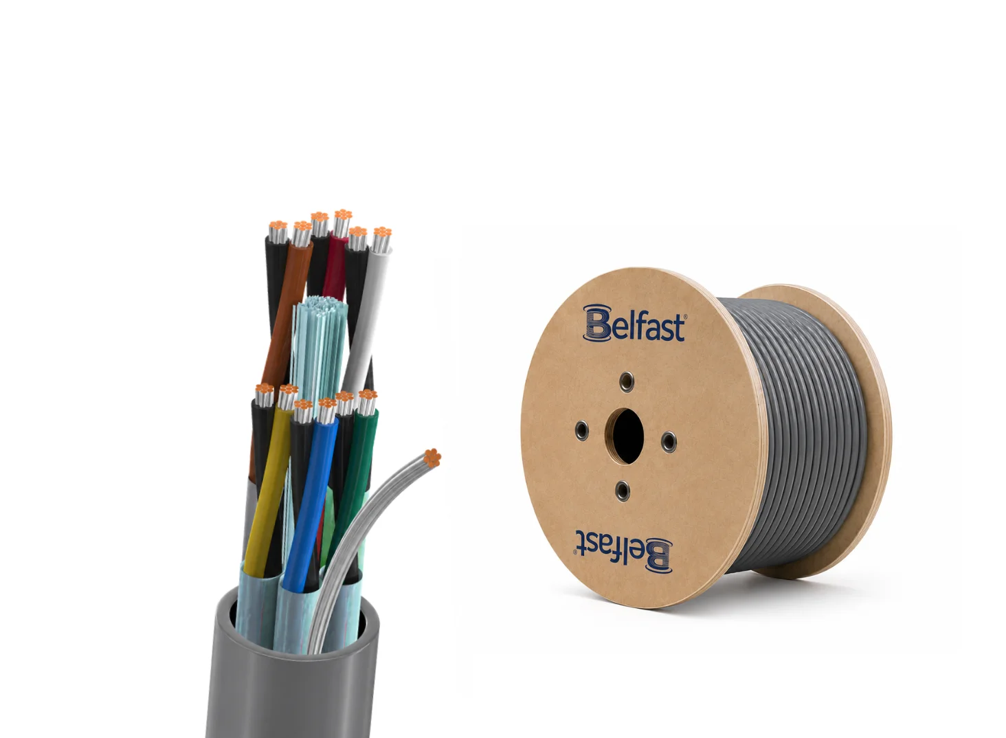 BCS1214 BCS19306 Instrumentation Belfast Cables